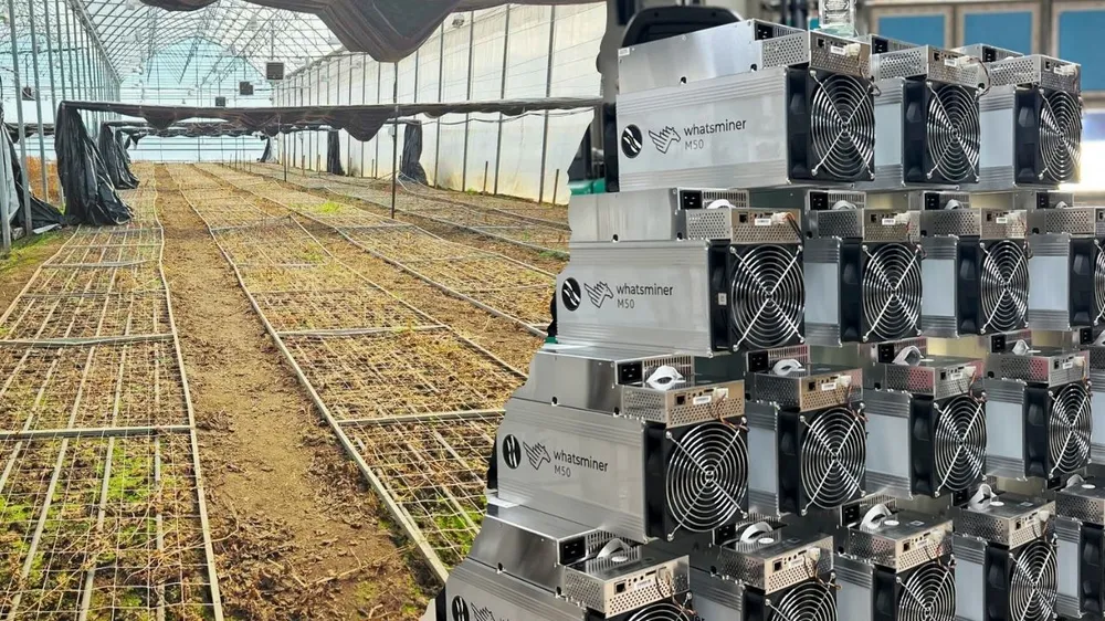 tarim-bitcoin-ile-bulusuyor-infinity-hash-electricity-mining